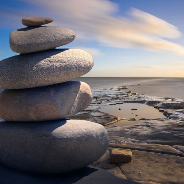 approche systemique 2